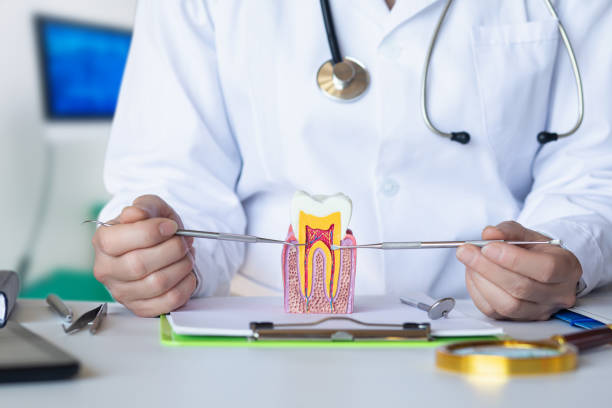 Best Weekend Emergency Dentist in Claxton, GA